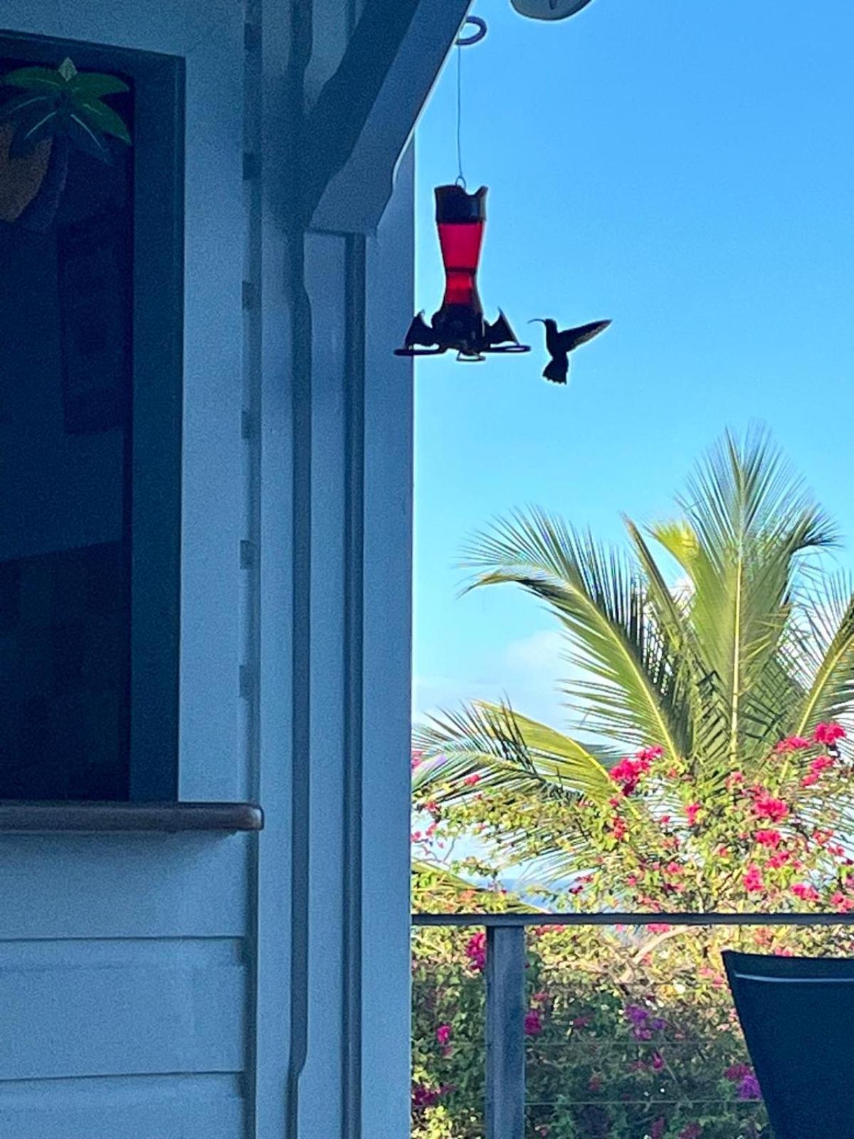 La Villa Kawana A 5 Minutes A Pied De La Plage Les Anses-d'Arlets Esterno foto
